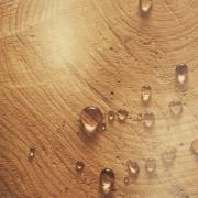 4ward360 per il legno